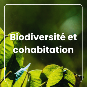 Biodiversité et cohabitation, pour intégrer la conservation et les mesures d’atténuation dans les travaux d'aménagement forestier Biodiversité et cohabitation, pour intégrer la conservation et les mesures d’atténuation dans les travaux d'aménagement forestier