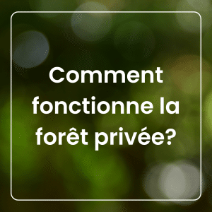 Comment fonctionne la forêt privée - Fascicule d'information pour les propriétaires de boisés Fond iridescent vert avec les mots Comment fonctionne la forêt privée?