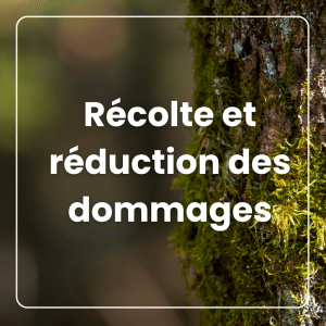 Récolte et réduction des dommages : des travaux à planifier et à exécuter avec soin Récolte et réduction des dommages : des travaux à planifier et à exécuter avec soin