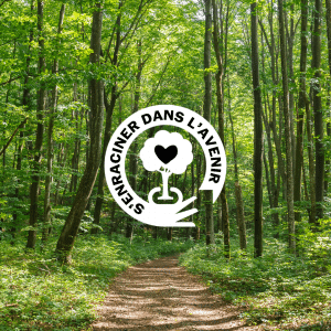 Forêt de feuillus avec au centre le logo de la campagne s'enraciner dans l'avenir