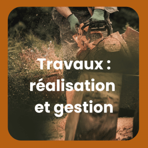 Travaux d'aménagement forestier : réalisation et gestion