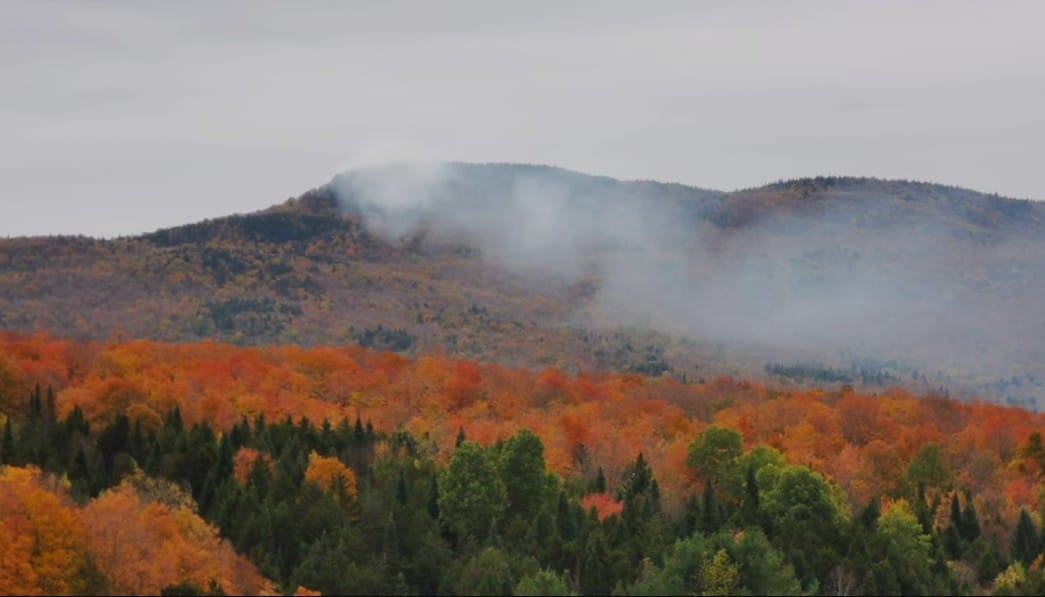Incendie de forêt au Mont Écho à Sutton