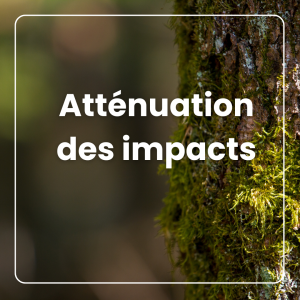 Récolte et réduction des dommages : des travaux à planifier et à exécuter avec soin