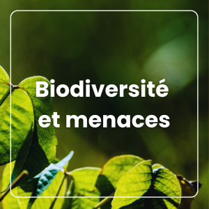 Biodiversité et cohabitation, pour intégrer la conservation et les mesures d’atténuation dans les travaux d'aménagement forestier Biodiversité et menaces